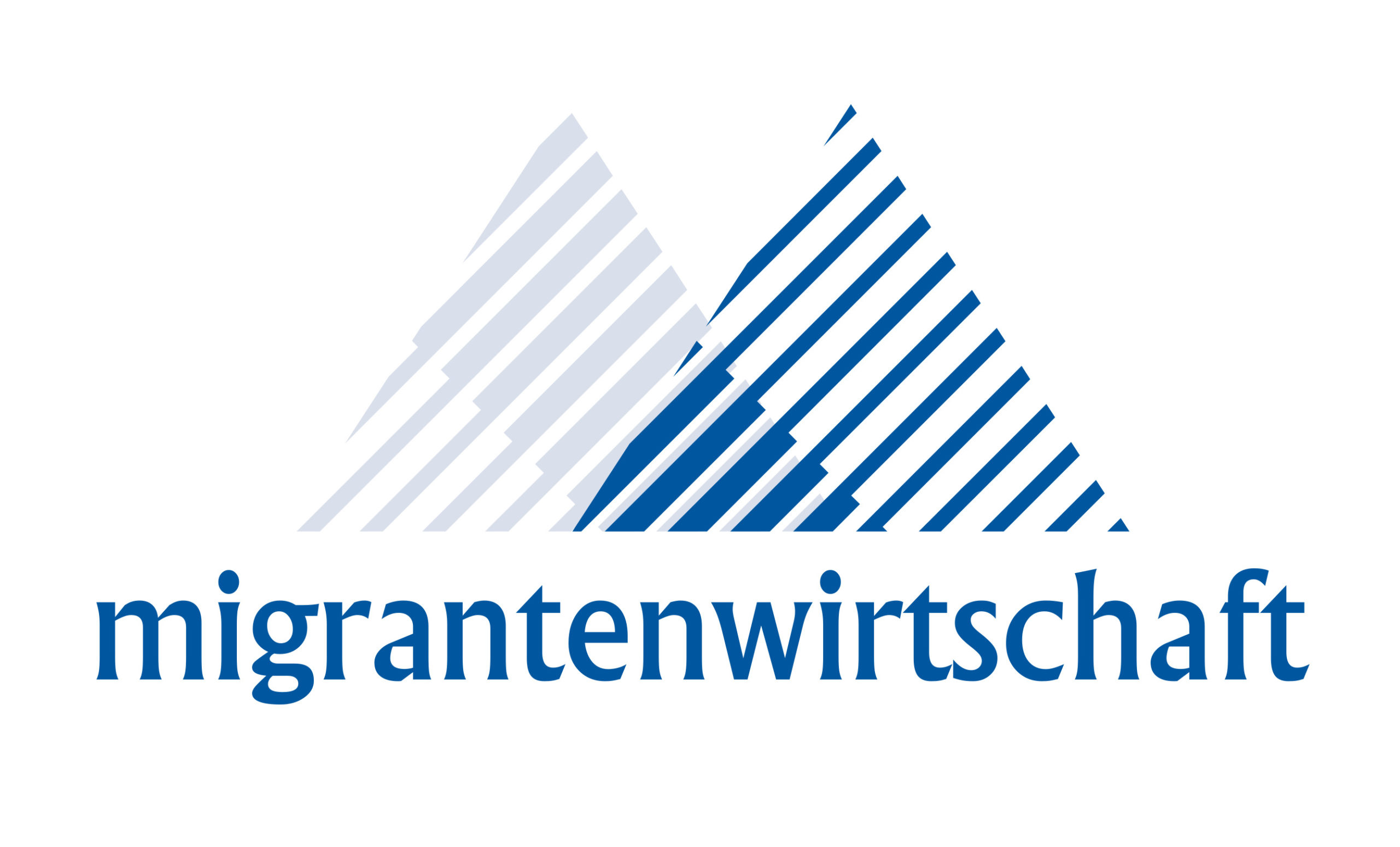 Verein zur Förderung der Migrantenwirtschaft